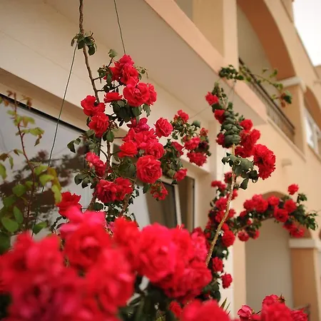 Apartments&rooms Jelavic Seget Vranjica